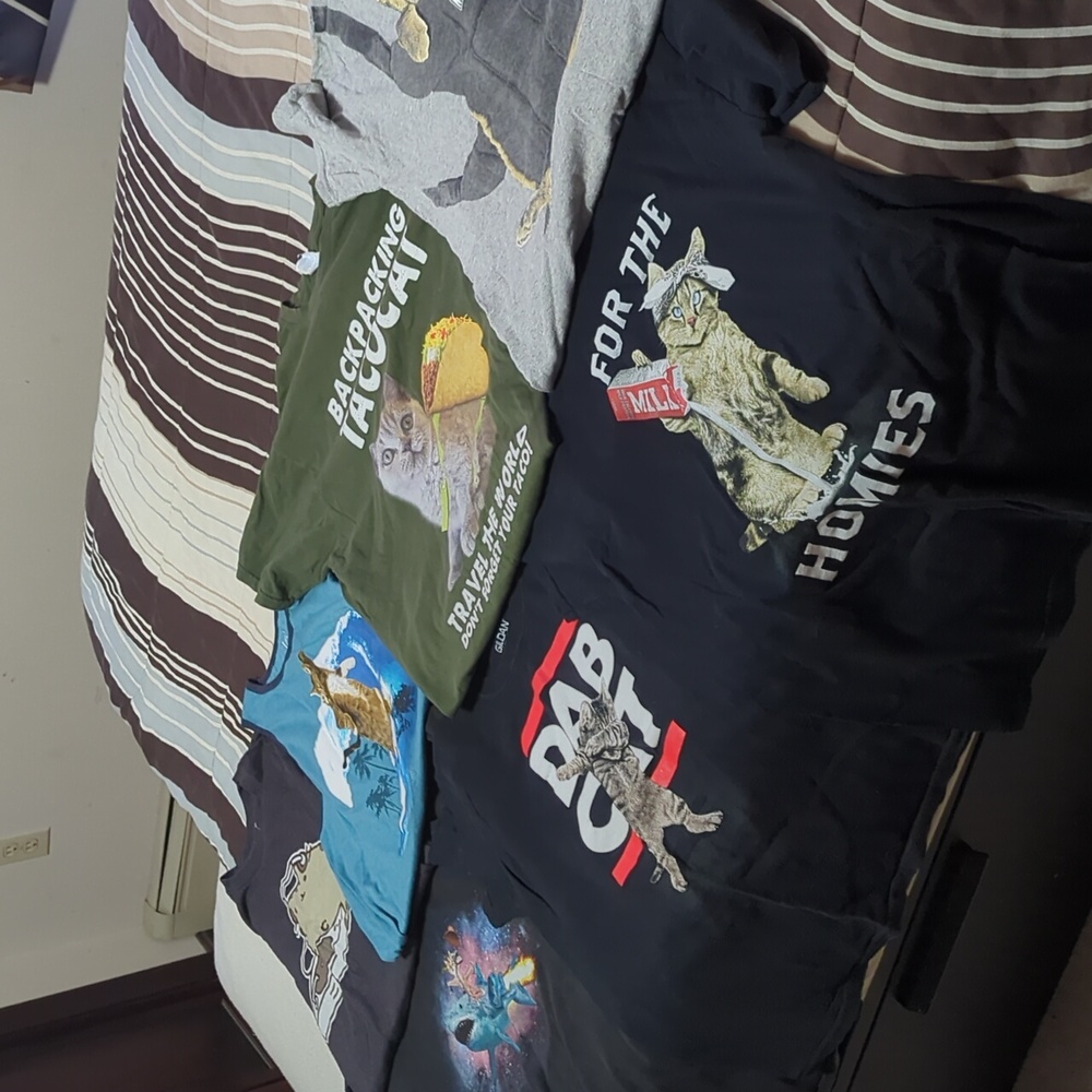 Lot of 7 boys large/men's small and medium cat tshirts
